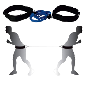 Descrição da imagem 1