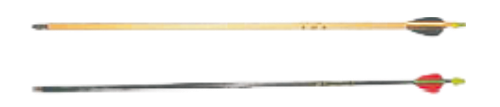 Descrição da imagem 2
