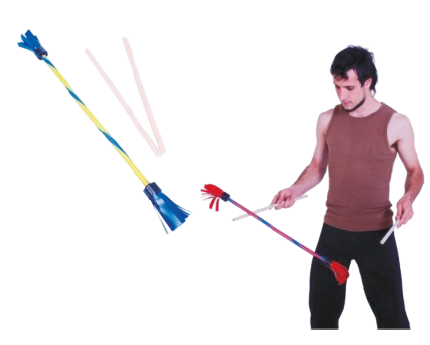 Descrição da imagem 3